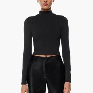 Aritzia Babaton Mock neck Contour Long Sleeve
